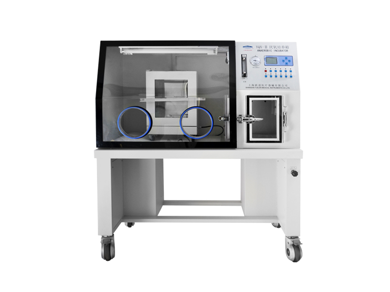 上海躍進(jìn)醫(yī)用厭氧培養(yǎng)箱((液晶屏顯示）YQX-II